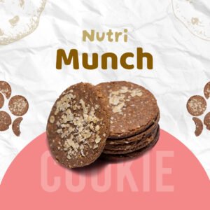 Nutri-Munch - Oatmeal & Raisin Cookie