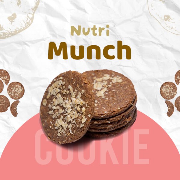 Nutri-Munch - Oatmeal & Raisin Cookie